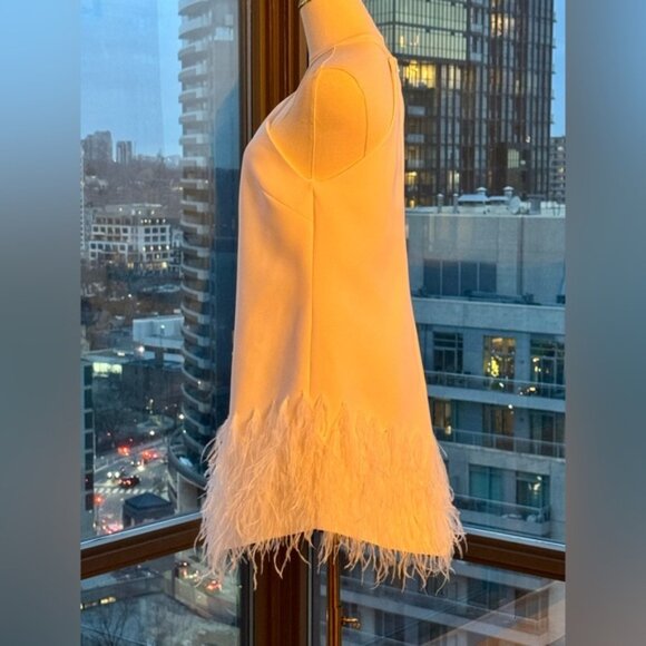 🆕 ALEXIS 🧿 NWOT Bristal Feather Trimmed Mini Dress, White, Sz S - Picture 6 of 16